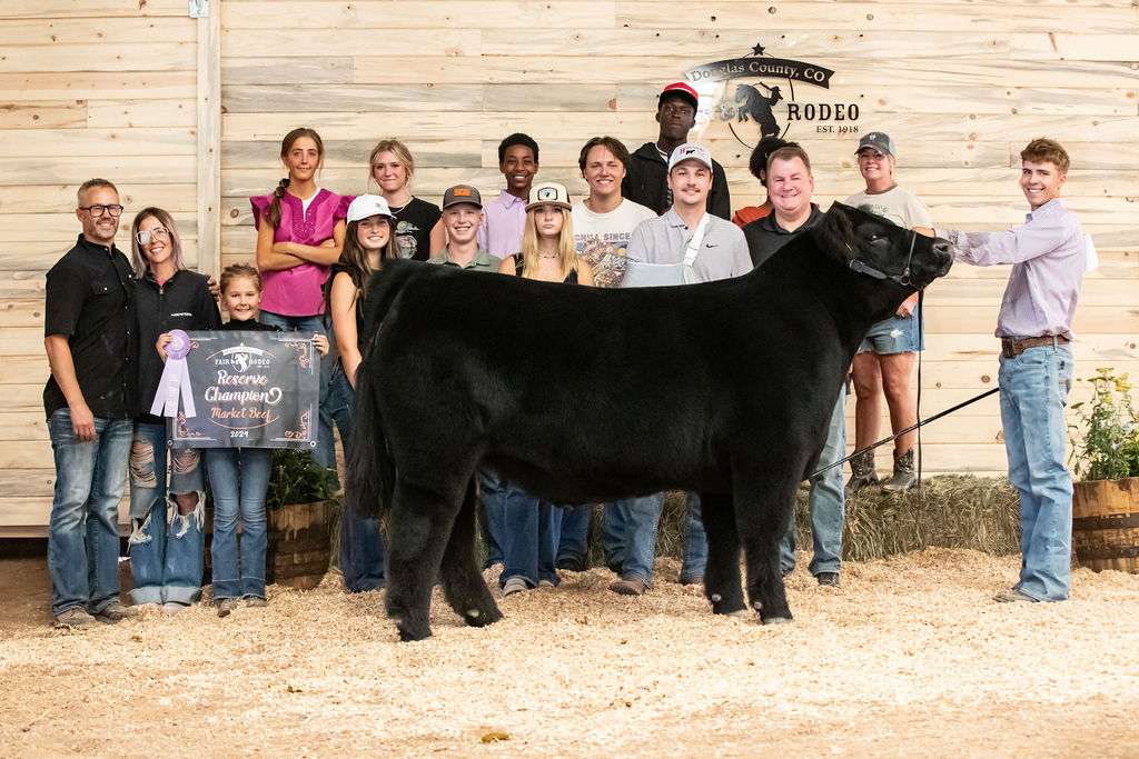 Reserve Champion Market Beef