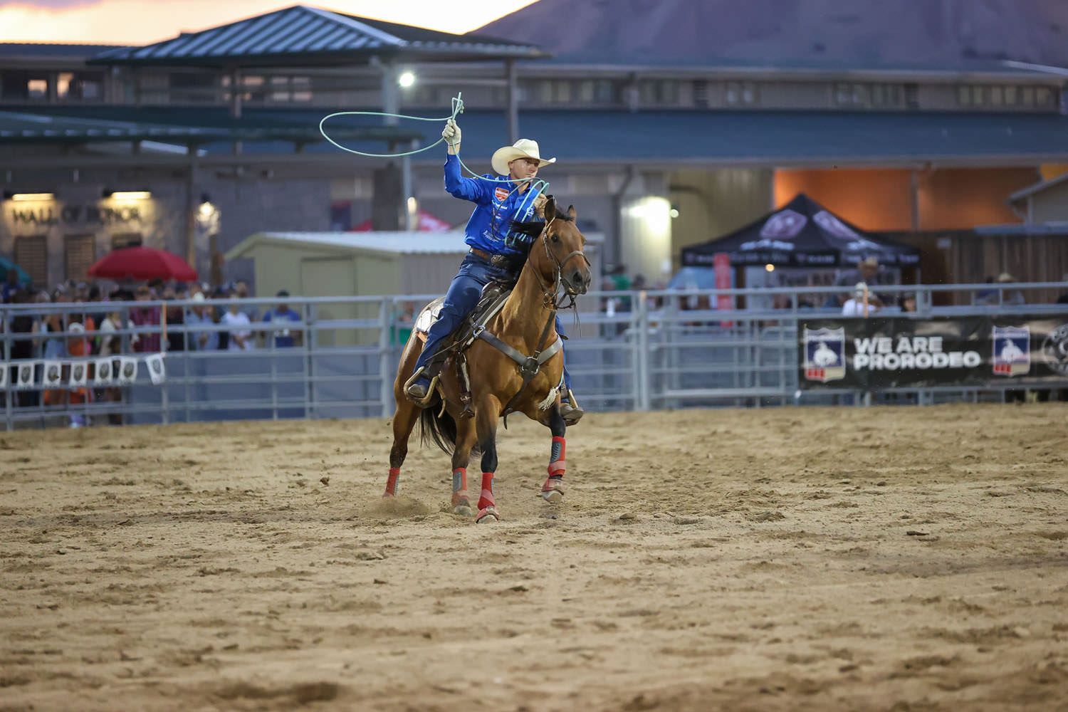Roping Rodeo Event