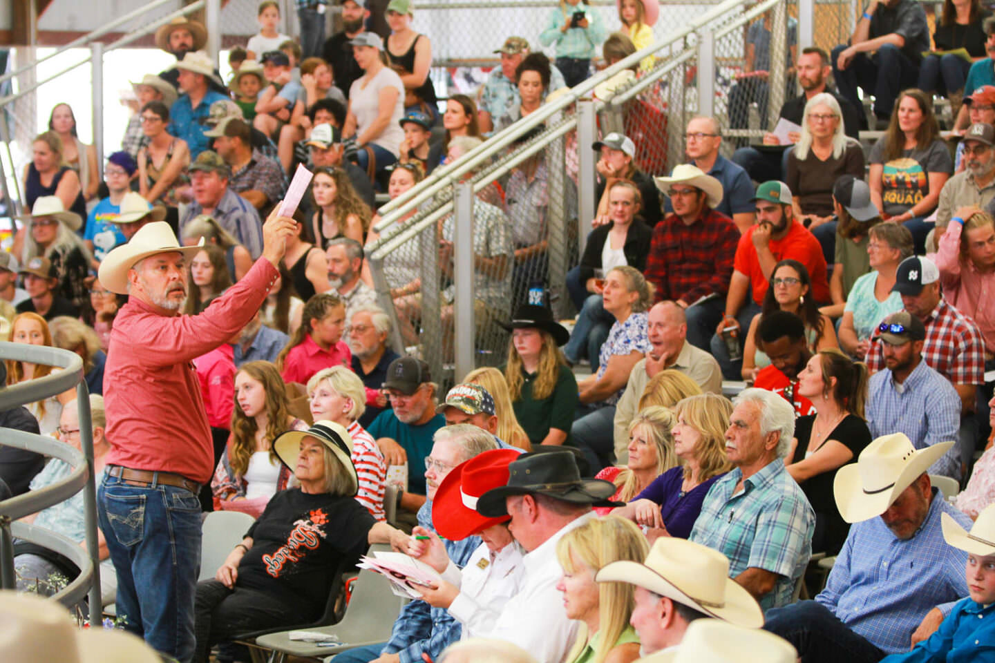 Junior Livestock Sale Dc Fair And Rodeo