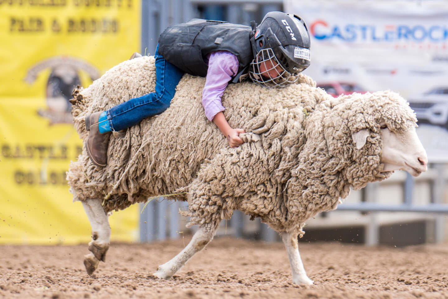 Mutton Bustin - July 27 - DC Fair & Rodeo