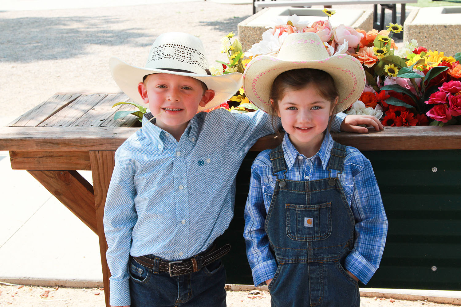 Douglas County Fair & Rodeo In Castle Rock, Co July 26 - Aug. 4