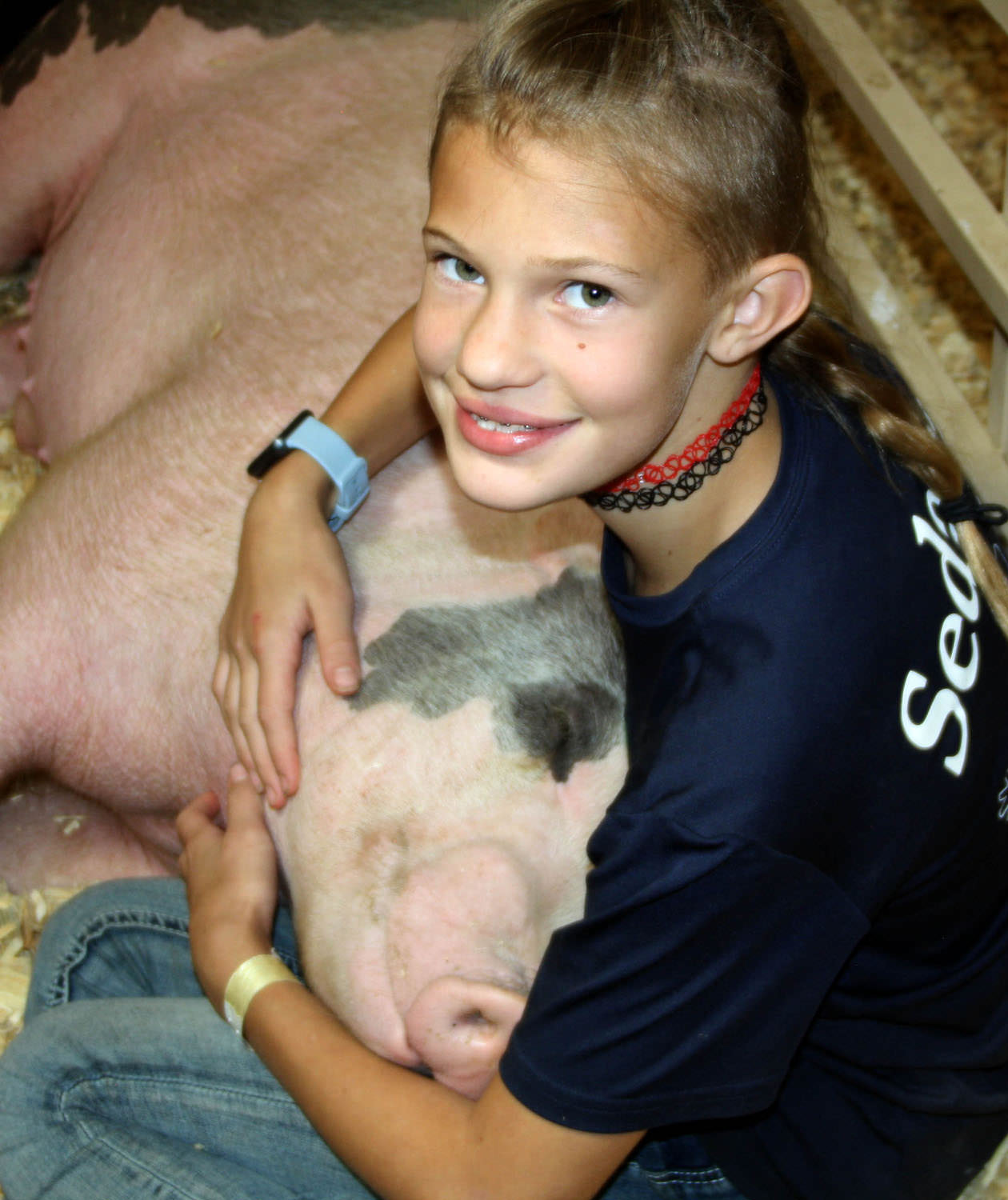 Swine show
