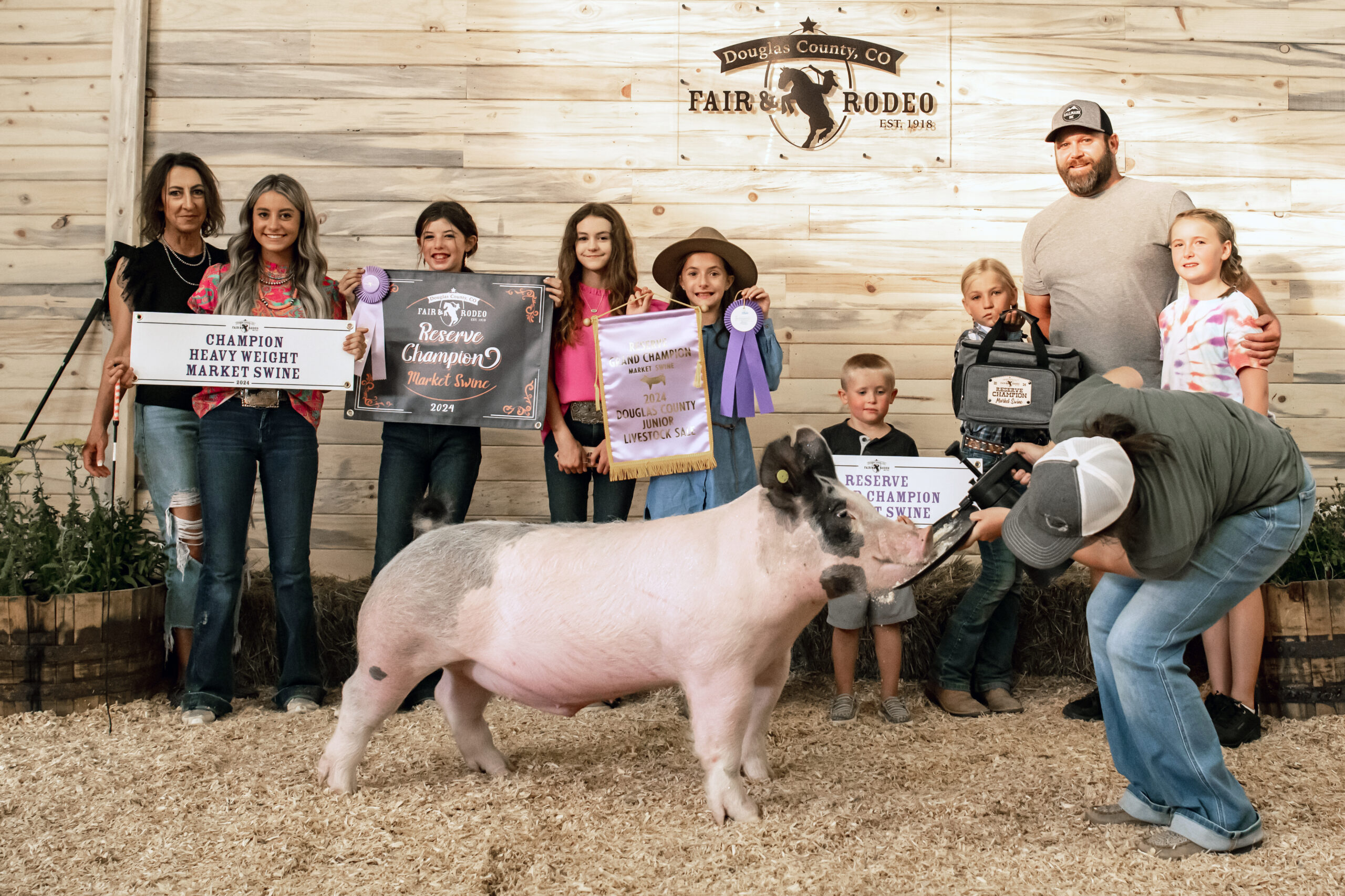 Reserved Champ Market Swine