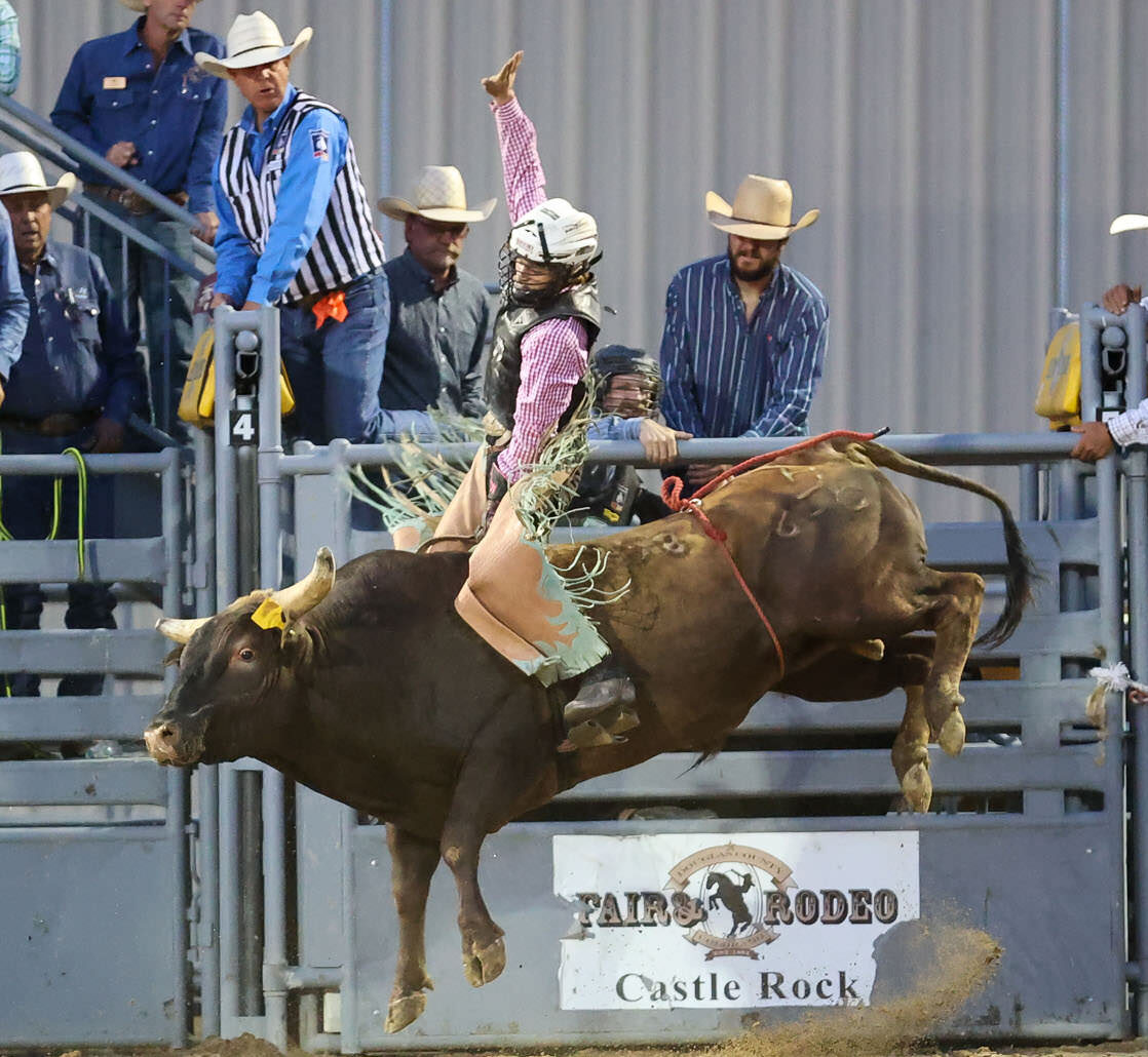 Bull riding 2 crop