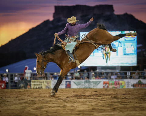 Rodeo Bronc and rock