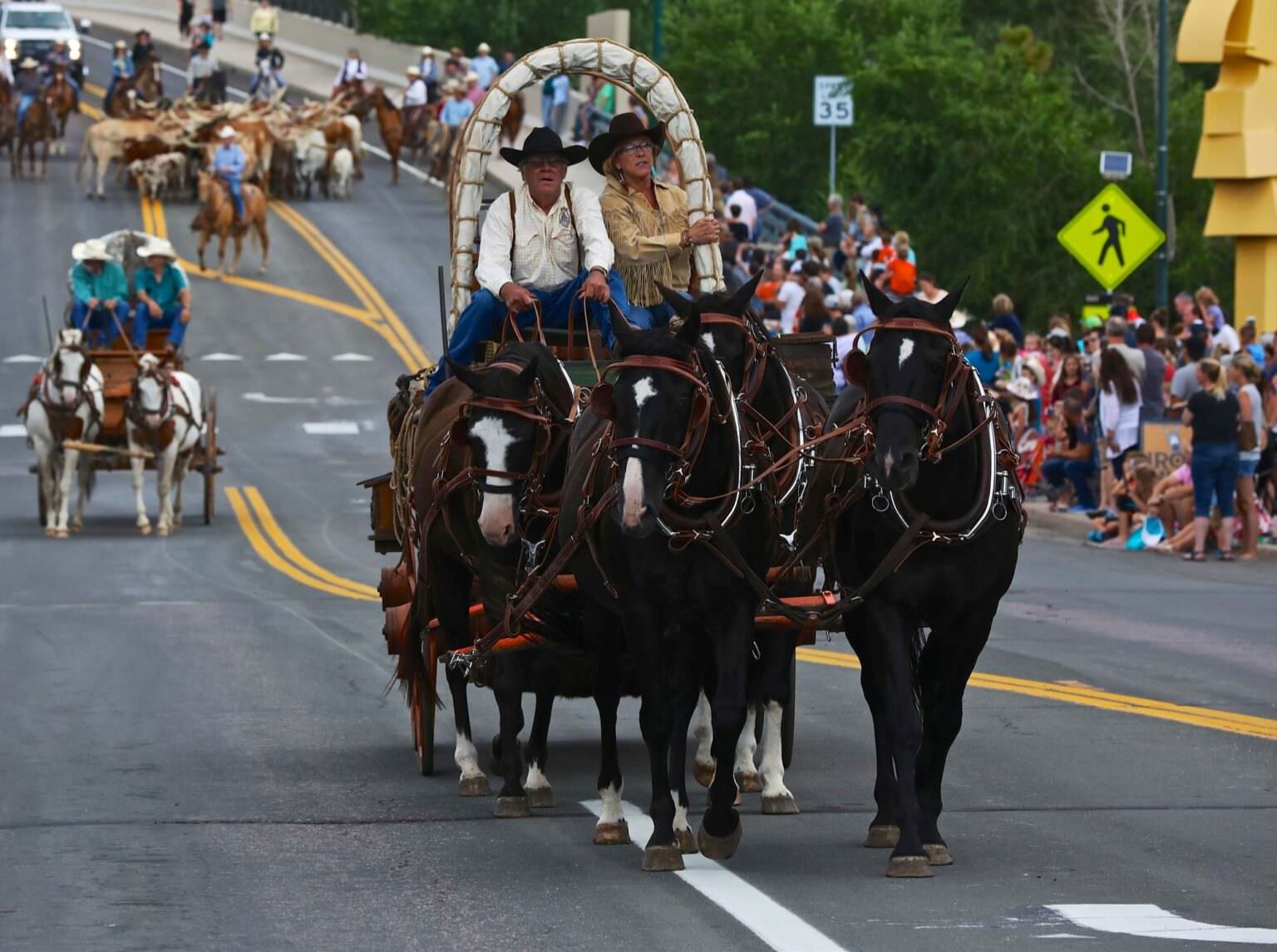 Cattle Drive - DC Fair & Rodeo