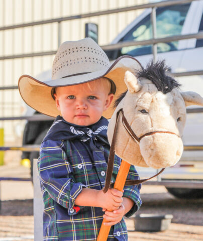 Stick horse Rodeo